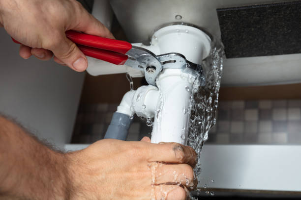 Best Professional water damage repair  in Somerset, NJ