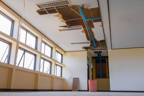 Best Water damage restoration mold remediation  in Somerset, NJ