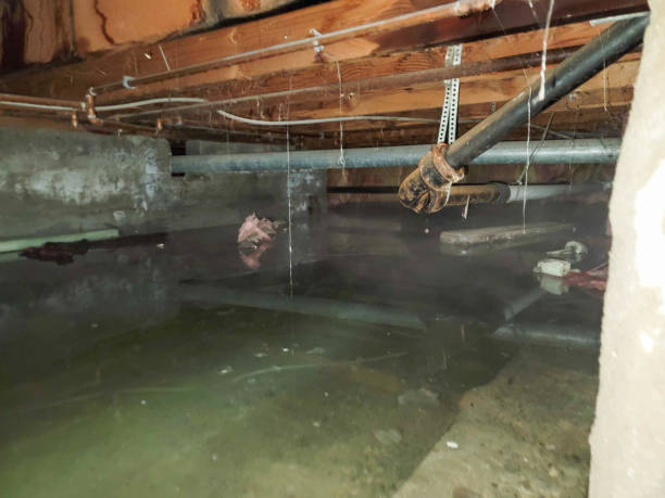Best 24-hour water damage restoration  in Somerset, NJ