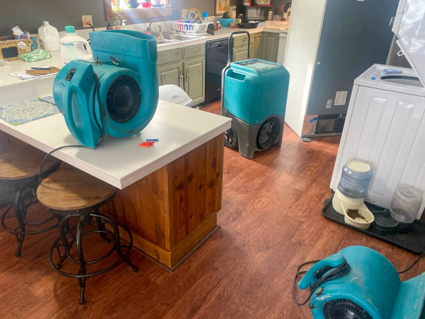 Best Sewage cleanup and water damage restoration  in Somerset, NJ