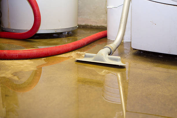 Best 24-hour water damage restoration  in Somerset, NJ