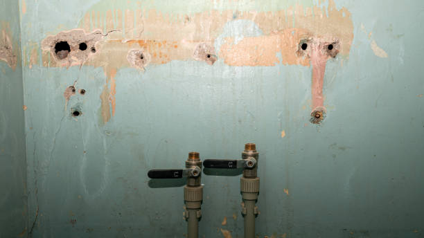 Best Flood damage cleanup  in Somerset, NJ