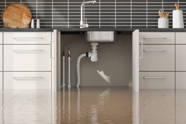 Best Basement water damage restoration  in Somerset, NJ