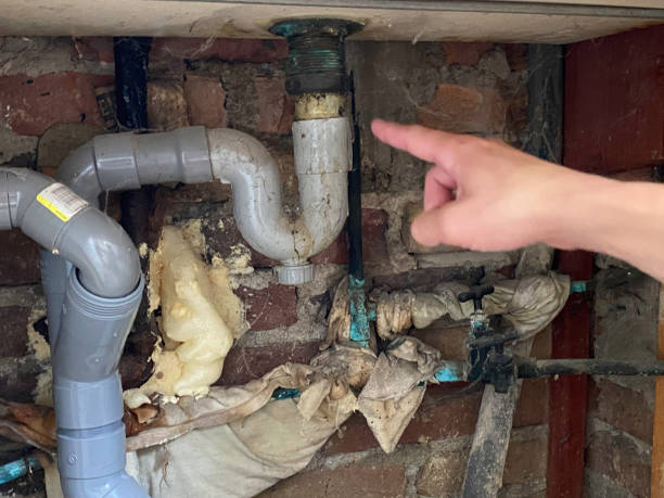 Best Fire Damage Restoration  in Somerset, NJ