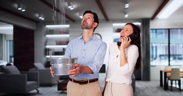 Best Water damage cleanup near me  in Somerset, NJ