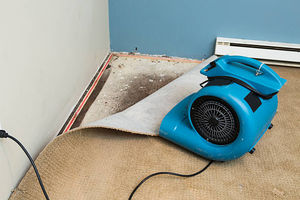 Best Commercial water damage restoration  in Somerset, NJ